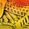 Yellow Grasshopper