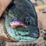 Eurotackle Z-Viber Micro