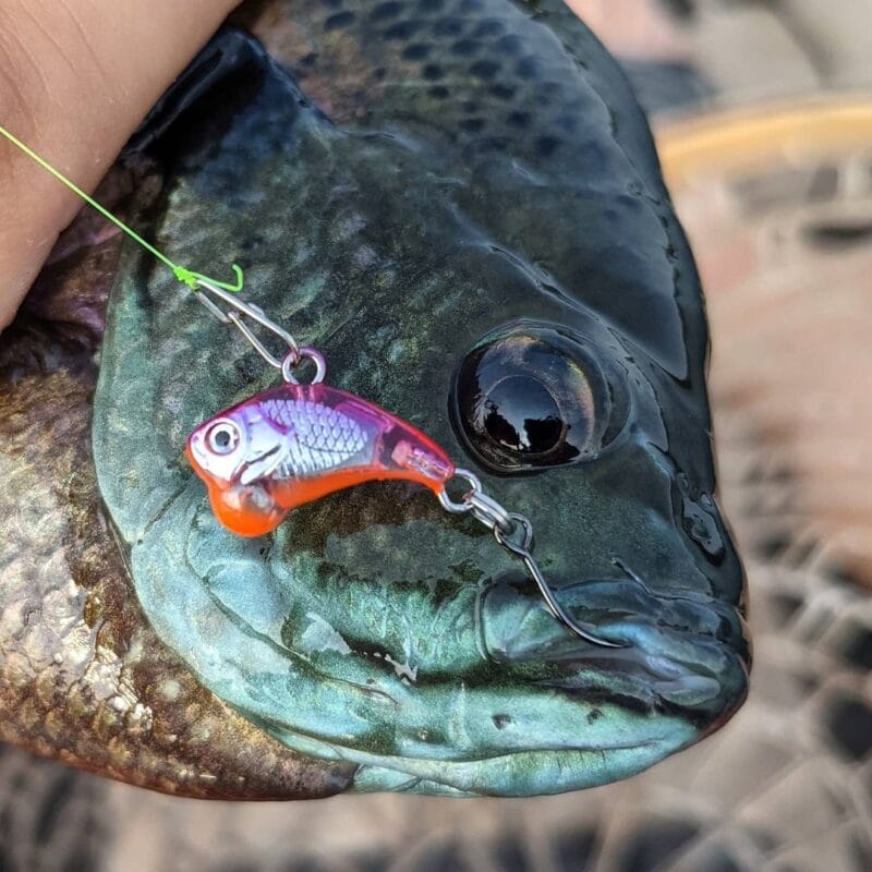 Eurotackle Z-Viber Micro