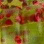 Green w/ Red Flake