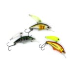 Palms Alexandra Shade 43S