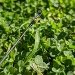 Jackson Blast Beats Tip Top