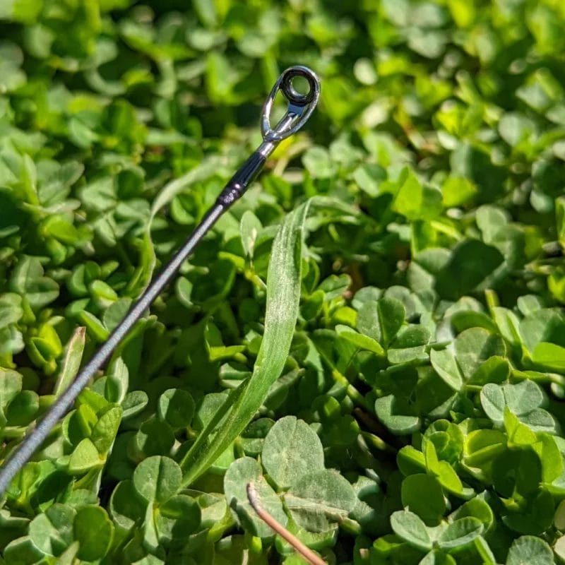 Jackson Blast Beats Tip Top