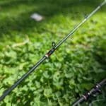 Jackson Kawasemi Rhapsody