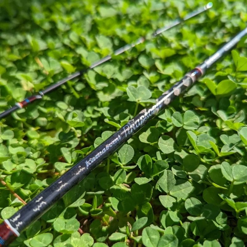 Jackson Kawasemi Rhapsody