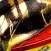 Hornet
