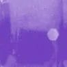 Purple Shad