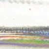 SVL - Silver Line