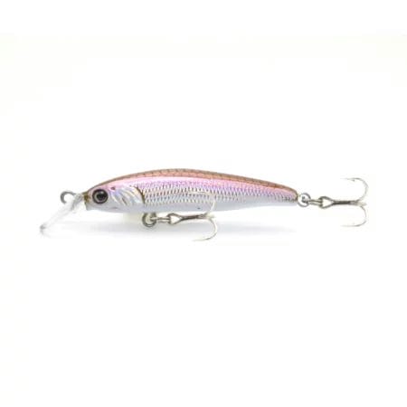 Little Jack Forma Cute 10