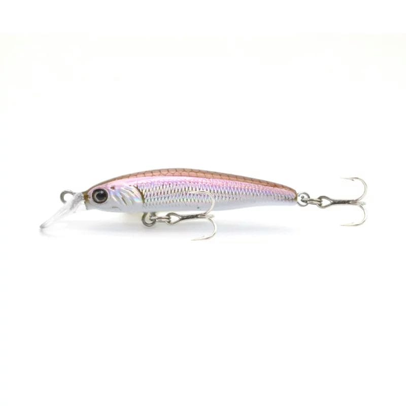 Little Jack Forma Cute 10