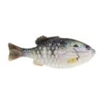 Berkley Powerbait Gilly HD Crappie