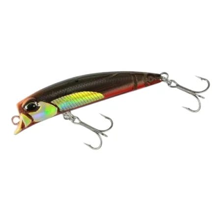 Duo Tetra Works Furafura