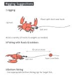 Nikko Super Little Crab Rigging