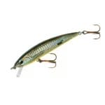 Rebel Tracdown Ghost Minnow Black Back/Orange Belly