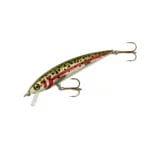 Rebel Lures TD47543 Tracdown Ghost Fishing Bait : : Sports &  Outdoors