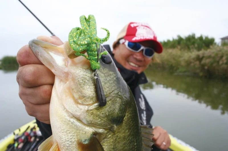 Decoy Worm217 Zero Dan