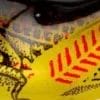 Yellow/Black Back
