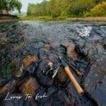 Tsurinoya Dragon II Spinning