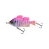 Pink Back Small Gill