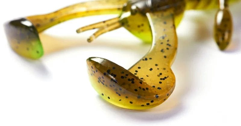 Jackson Chinukoro Hog