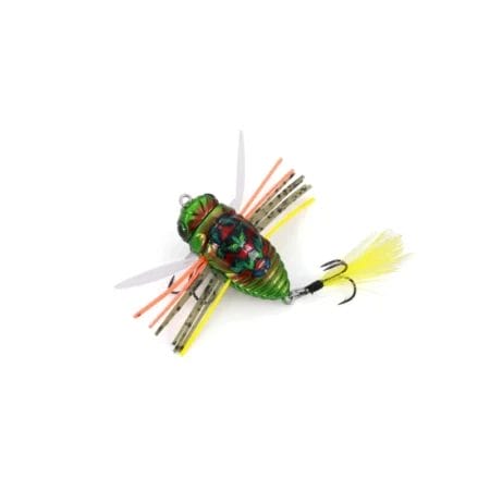 Duo Realis KoShinmushi Cicada