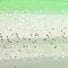 Sight Chartreuse Fry
