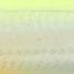 Yellow Chart Fry