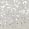 #01 - Clear Silver Glitter