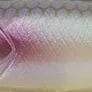 Sweet Pearl Fish
