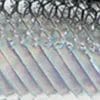 42 - Crystal Back Pearl