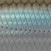 #013 - Silver Stripe Herring