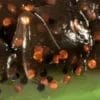 Coppertreuse