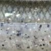 #AB03 - Reservoir Shad/Abalone