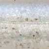 #AB04 - Icefish/Abalone