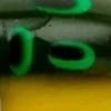 Bullfrog