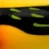 Yellow Hornet
