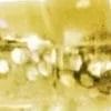 Gold Glitter