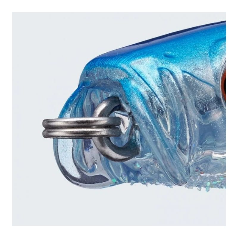 evergreen-sb_777-cupped