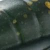 OLVG - Olive Gold
