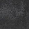 503 - Black Fur