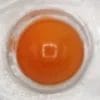 HC2 - Fluorescent Orange