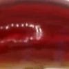 #7 - Red Viper