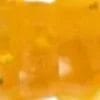 Stream Larva