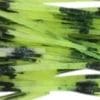 #06 - Trance Shad