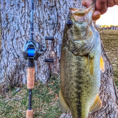Dobyns Rods Sierra Ultra Finesse Casting Rod Dobyns Rods Sierra Ultra Finesse Casting Rod